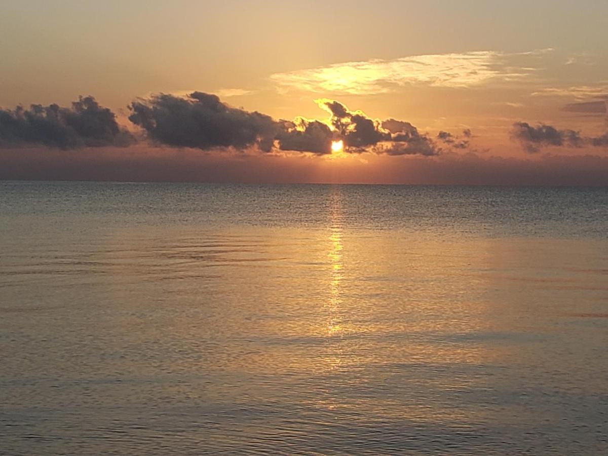 Pal'S On The Beach - Dangriga, Belize Экстерьер фото