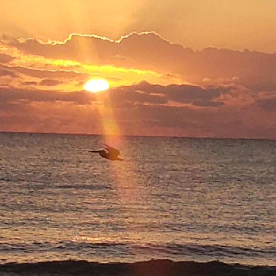Pal'S On The Beach - Dangriga, Belize Экстерьер фото