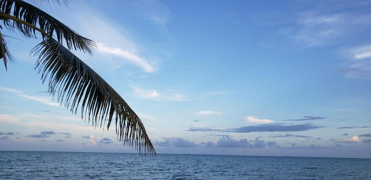 Pal'S On The Beach - Dangriga, Belize Экстерьер фото