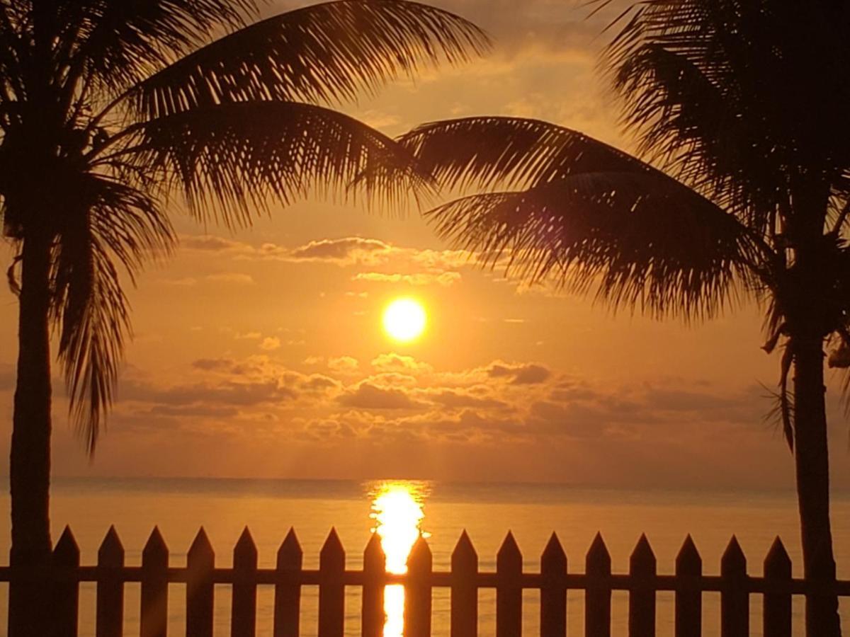 Pal'S On The Beach - Dangriga, Belize Экстерьер фото