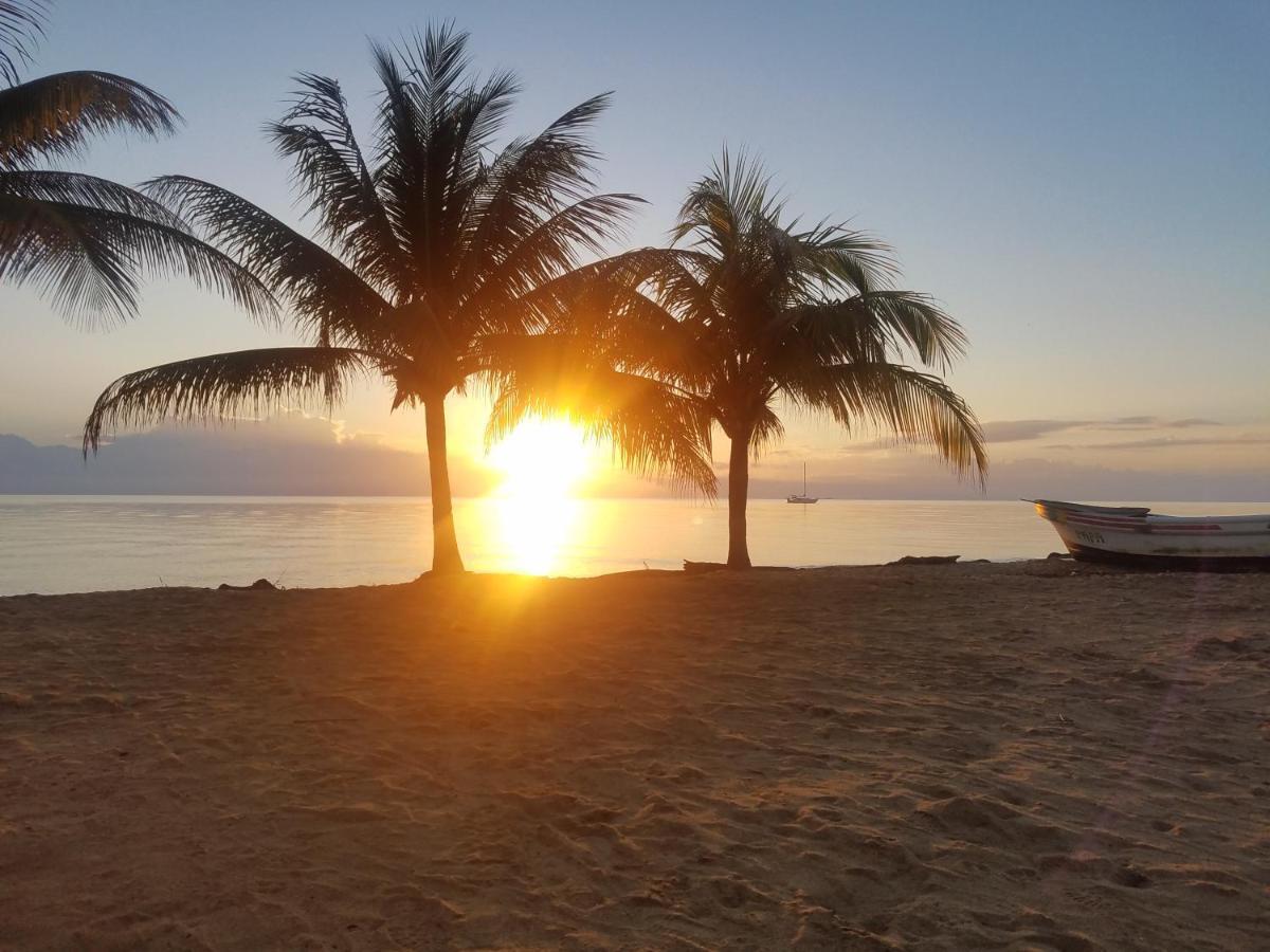 Pal'S On The Beach - Dangriga, Belize Экстерьер фото