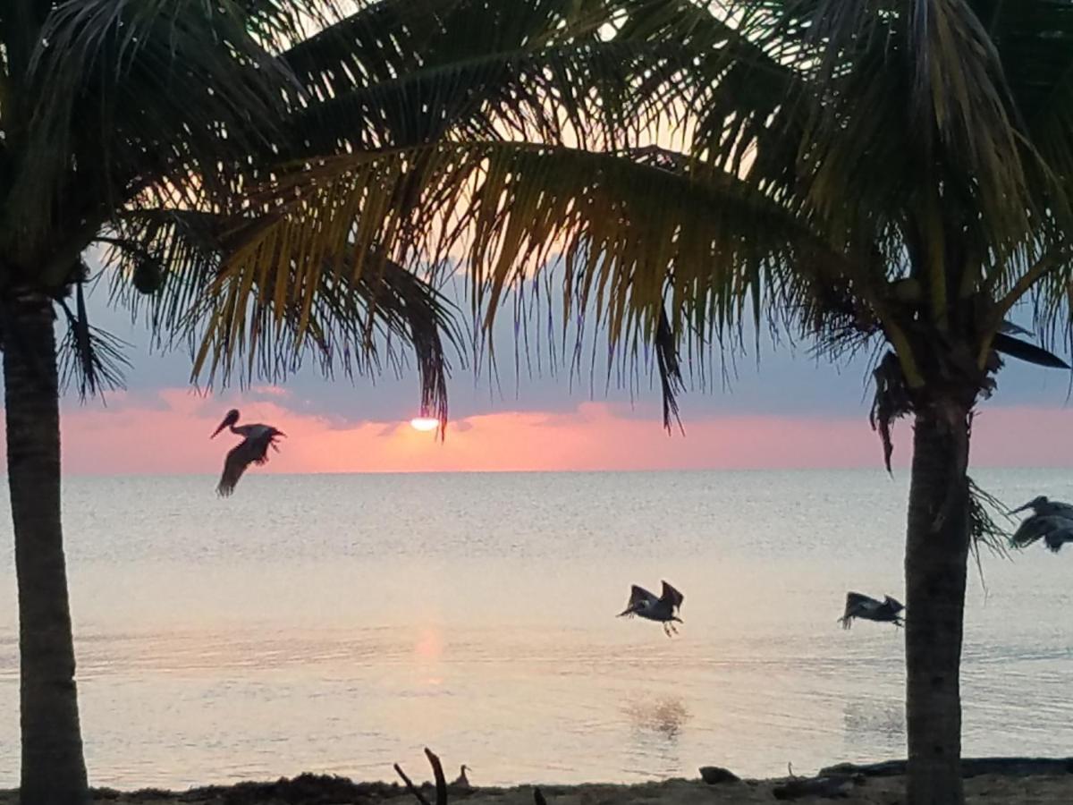 Pal'S On The Beach - Dangriga, Belize Экстерьер фото
