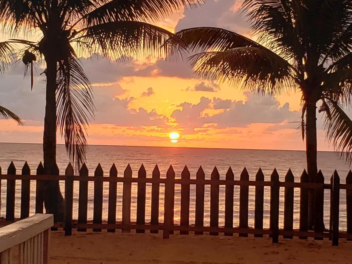 Pal'S On The Beach - Dangriga, Belize Экстерьер фото