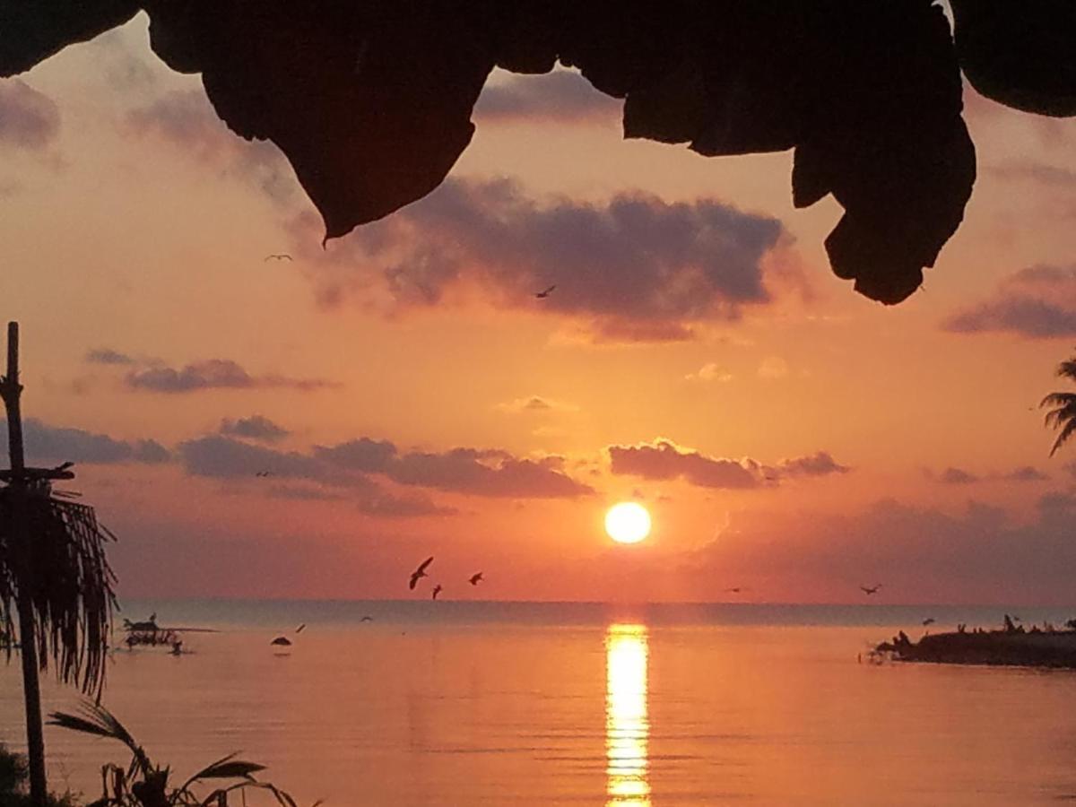 Pal'S On The Beach - Dangriga, Belize Экстерьер фото