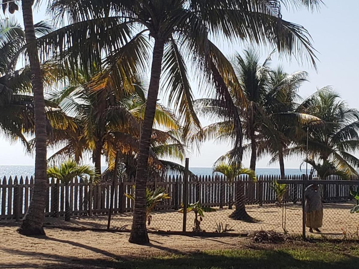 Pal'S On The Beach - Dangriga, Belize Экстерьер фото